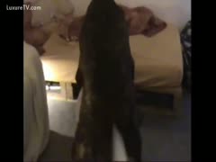 A large dog uses a firm cock to pump his owner's love tunnel.